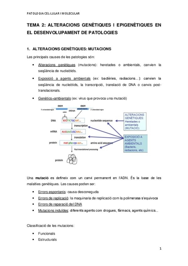 Miniatura del documento TEMA-2.pdf