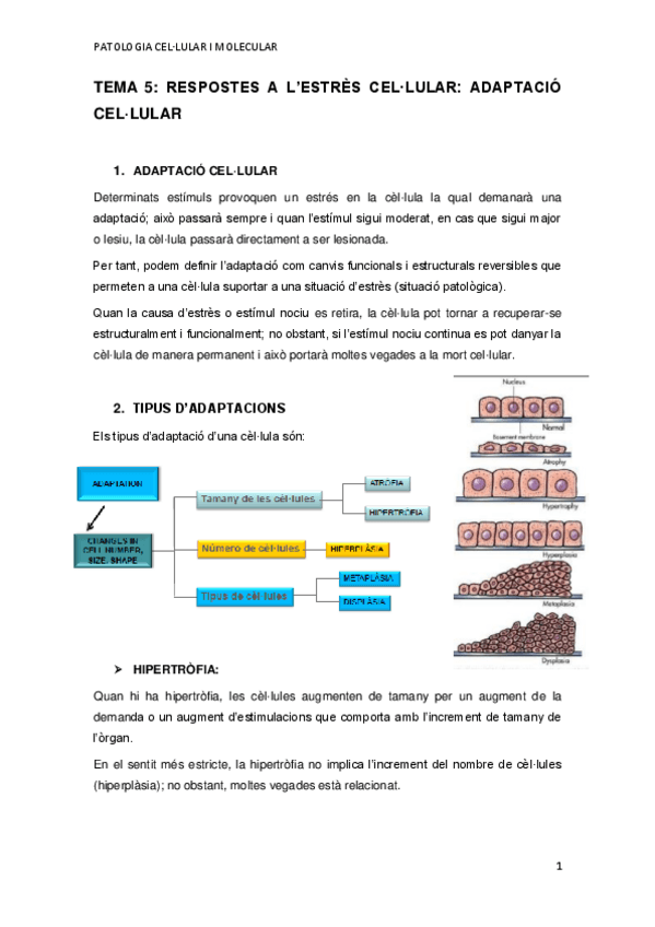 Miniatura del documento TEMA-5.pdf