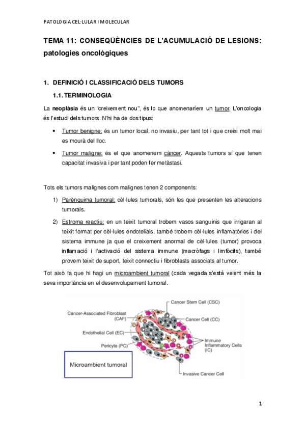 Miniatura del documento TEMA-11.pdf