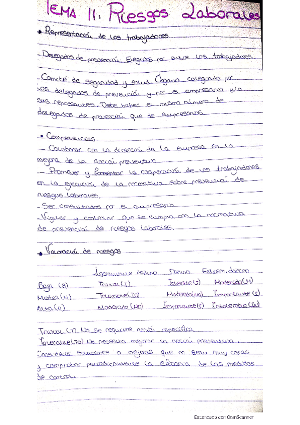 Miniatura del documento Tema-11-Riesgos-Laborales.pdf