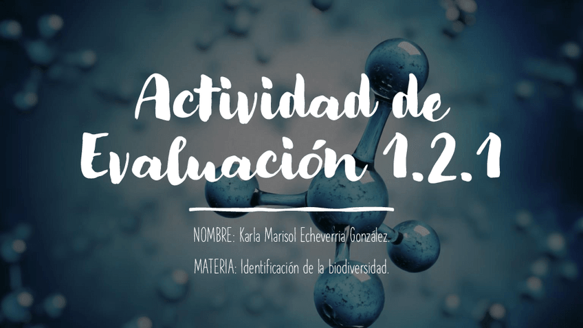 Miniatura del documento Actividad-de-Evaluacion-1.pdf