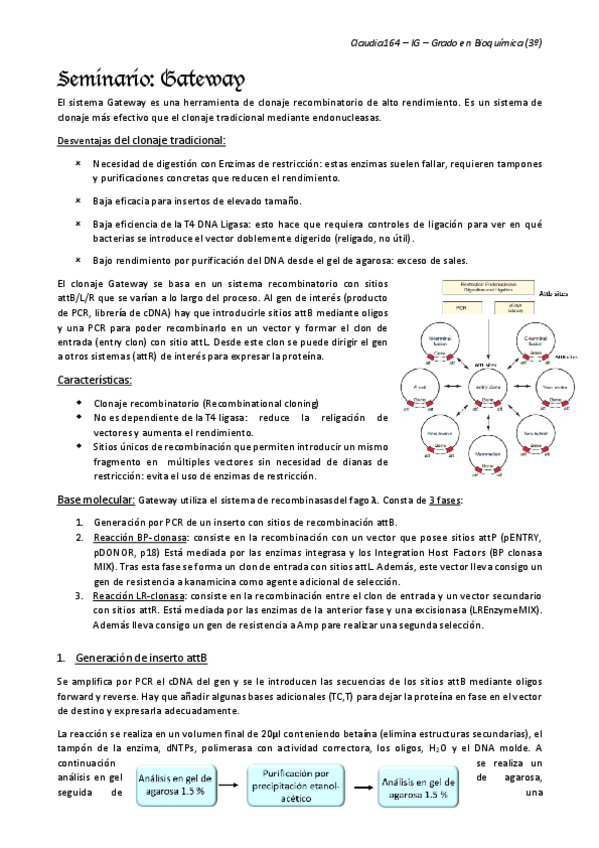 Miniatura del documento Seminario-evaluable-Gateway-Nacho.pdf