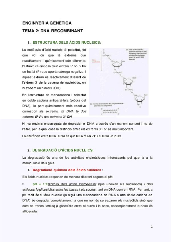 Miniatura del documento TEMA-2.pdf