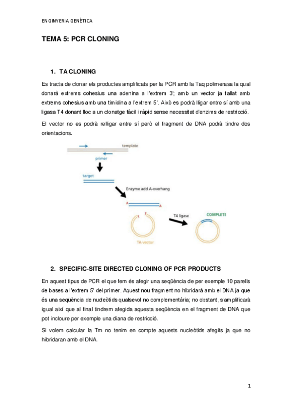 Miniatura del documento TEMA-5.pdf