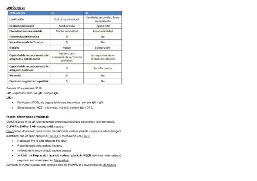 Miniatura del documento resum-t9.pdf