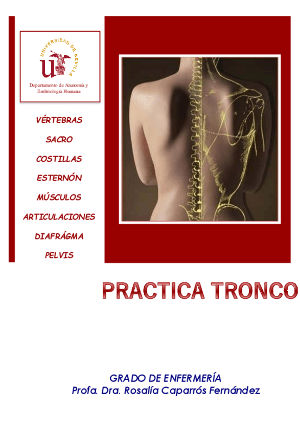 Miniatura del documento 1-Laminas-Mudas-Tronco.pdf