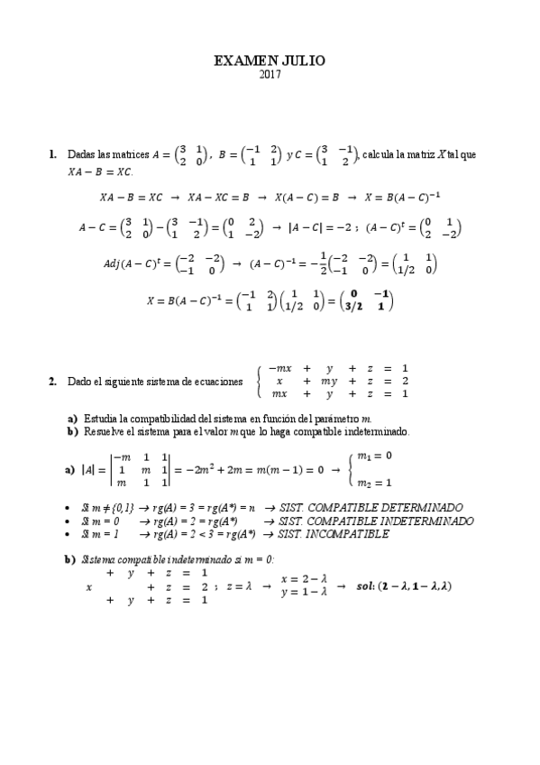 Miniatura del documento 2016-17-ex-julio.pdf