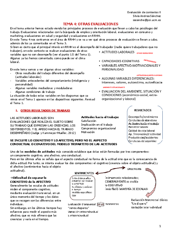 Miniatura del documento T4-OTRAS-EVALUACIONES.pdf