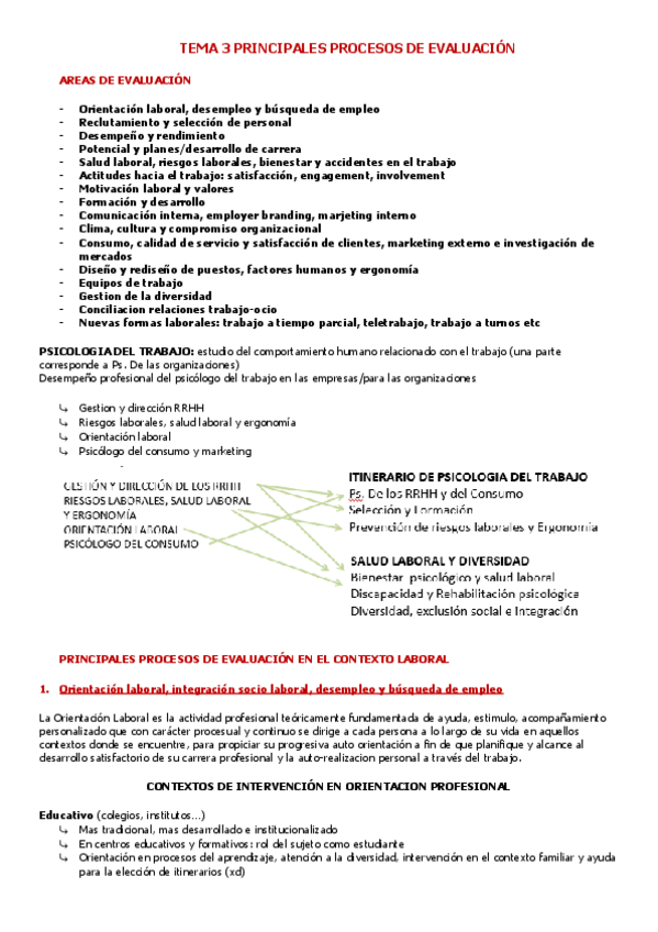 Miniatura del documento T3-PRINCIPALES-PROCESOS-DE-EVALUACION.pdf