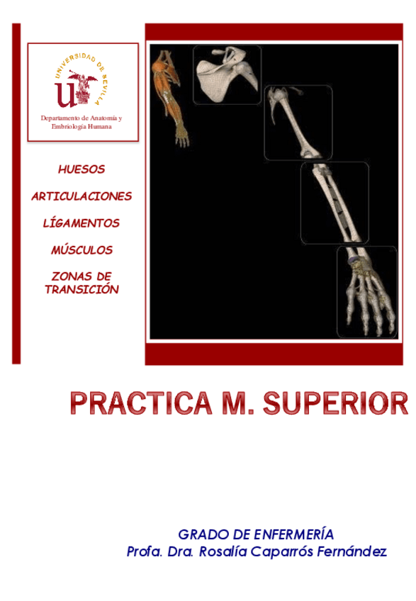 Miniatura del documento 3-Laminas-Mudas-Miembro-Superior.pdf