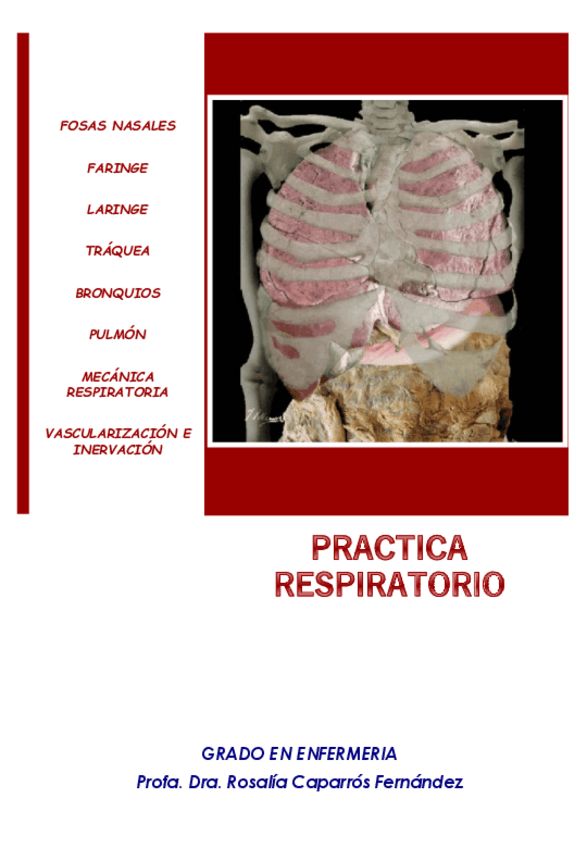 Miniatura del documento 8-Laminas-Mudas-Respiratorio.pdf