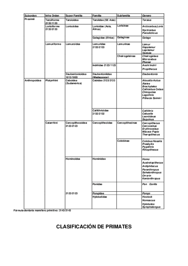 Miniatura del documento Clasificaciondeprimatesreformada.pdf