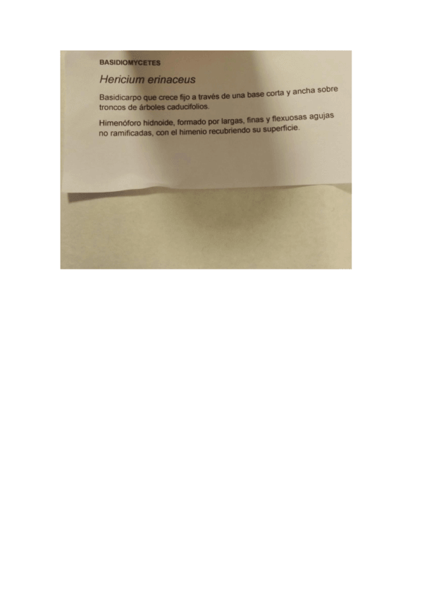 Miniatura del documento Documento1.pdf