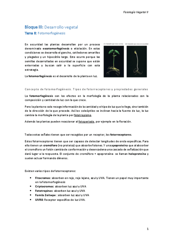 Miniatura del documento Bloque III.pdf