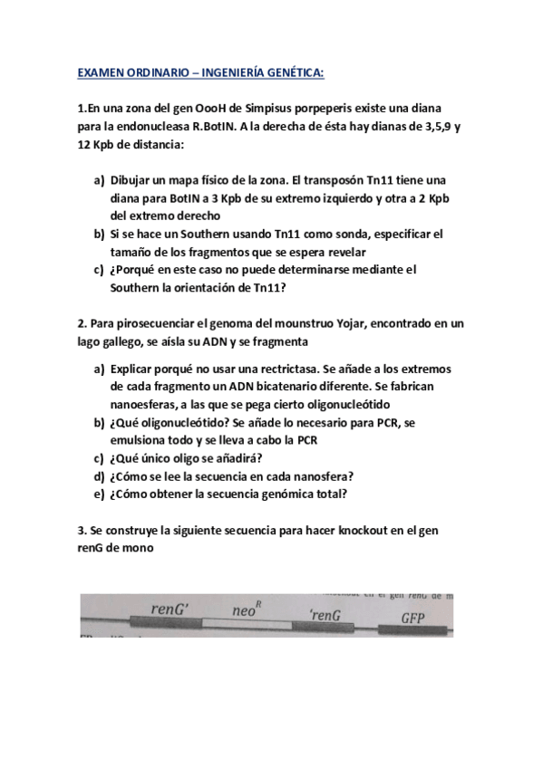 Miniatura del documento EXAMEN.pdf