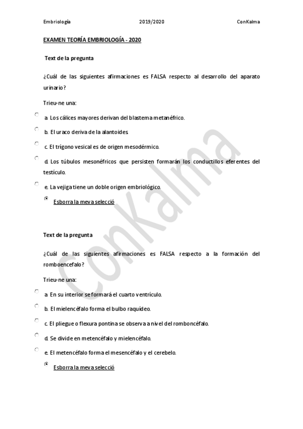 Miniatura del documento EXAMEN-TEORIA-EMBRIOLOGIA-2020.pdf