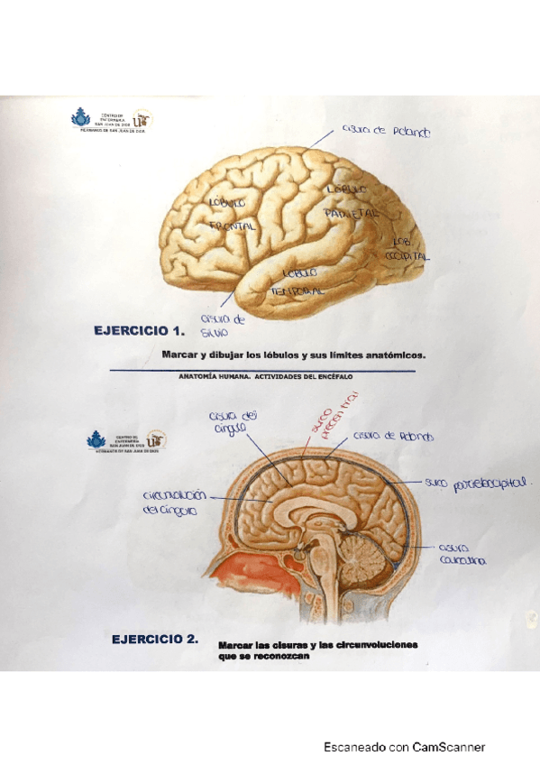 Miniatura del documento SNC.pdf