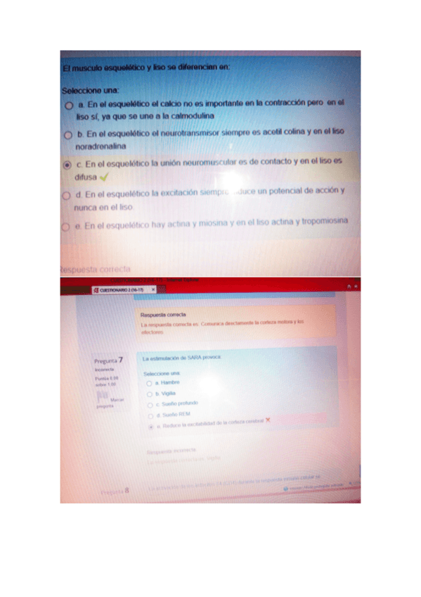 Miniatura del documento Test.pdf