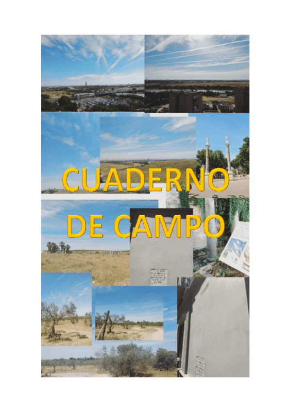 Miniatura del documento Trabajo-de-campo-2.pdf