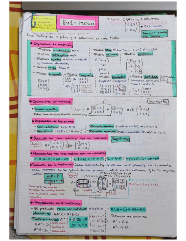 Miniatura del documento MATRICES-T1.pdf
