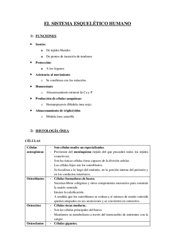 Miniatura del documento EL-ESQUELETO-HUMANO.docx