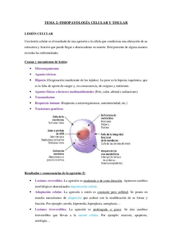Miniatura del documento 2-Fisiopatologia-celular-y-tisular.docx