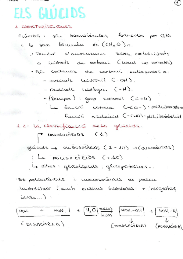 Miniatura del documento APUNTS-GLUCIDS.pdf