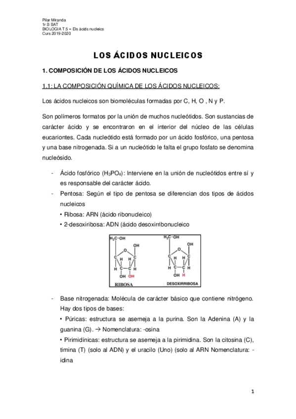 Miniatura del documento acidos-nucleicos.pdf