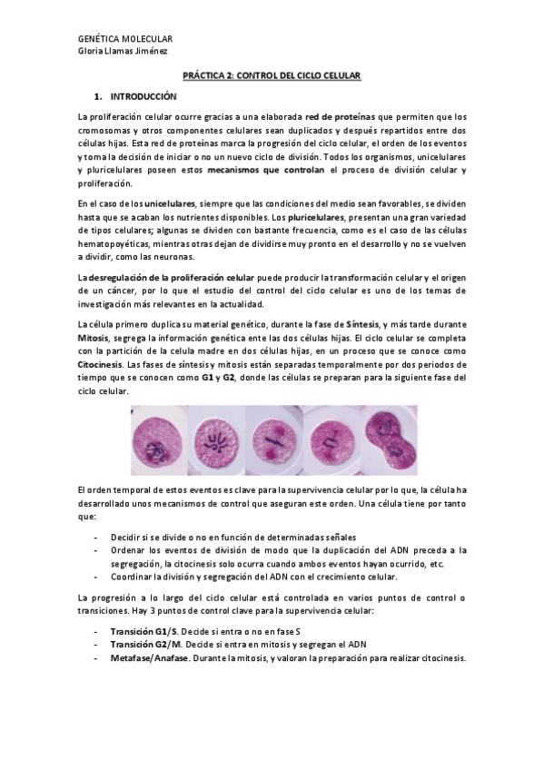 Miniatura del documento PRACTICA-2-CONTROL-DEL-CICLO-CELULAR.pdf