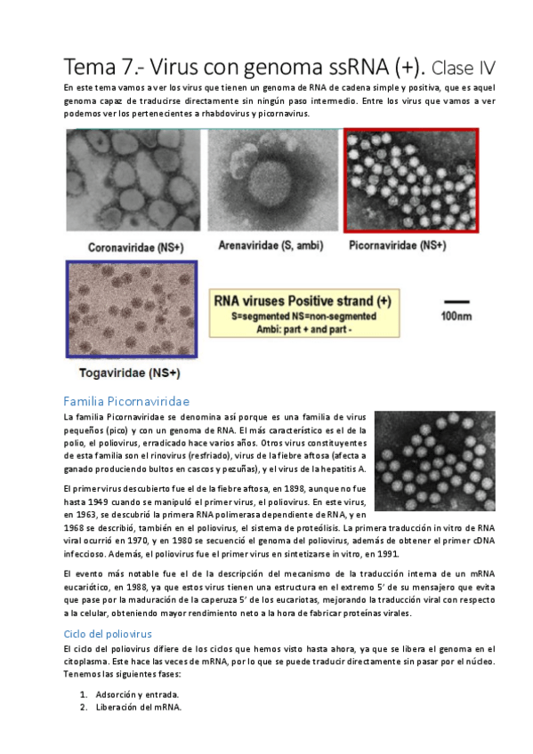 Miniatura del documento Tema 7.pdf