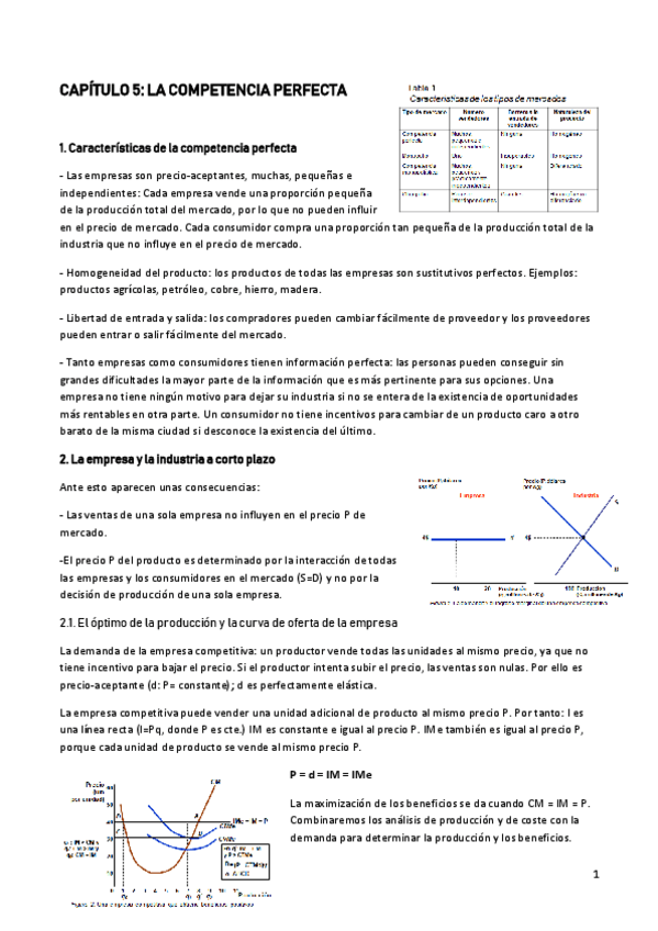 Miniatura del documento CAPITULO-5.pdf