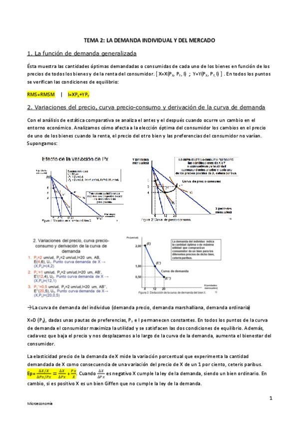 Miniatura del documento CAPITULO-2.pdf