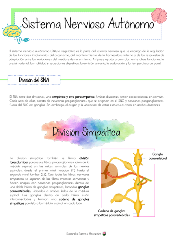 Miniatura del documento SNA.pdf