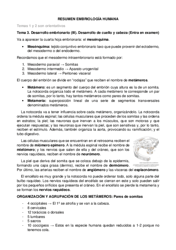 Miniatura del documento RESUMEN-EMBRIOLOGIA-HUMANA.pdf