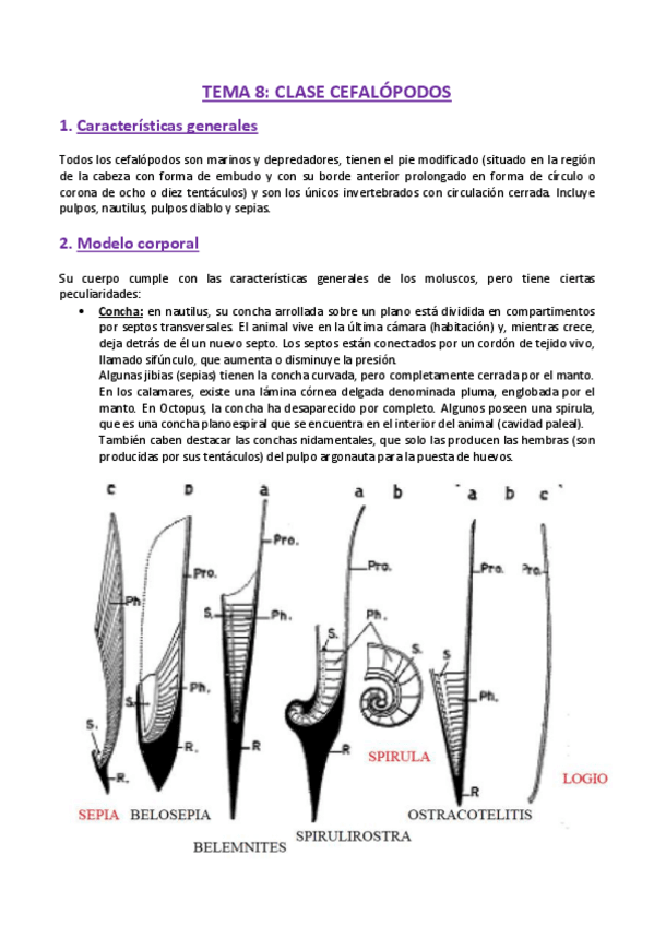 Miniatura del documento TEMA-8-Zoologia.pdf