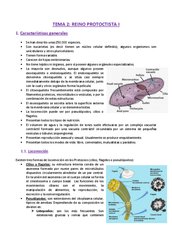 Miniatura del documento TEMA-2-Zoologia.pdf