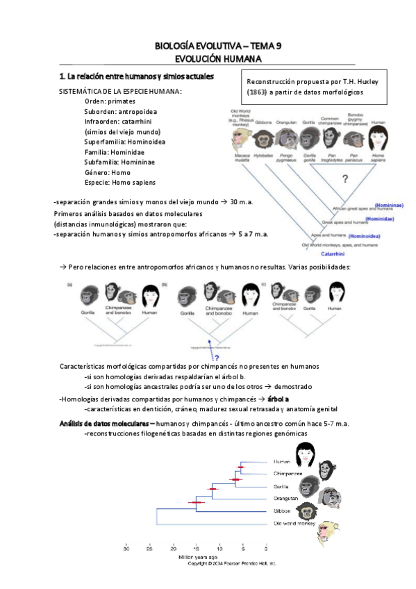Miniatura del documento T-9.pdf
