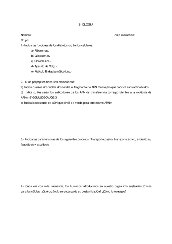 Miniatura del documento Examen-2.pdf