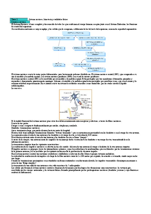 Miniatura del documento Apuntes examen psicomotor.pdf