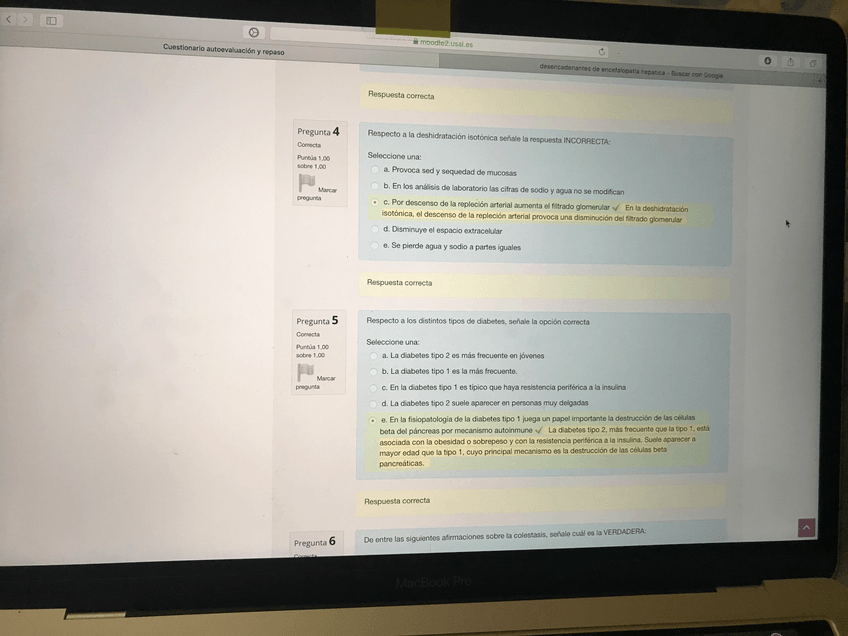 Miniatura del documento IMG3932.jpg