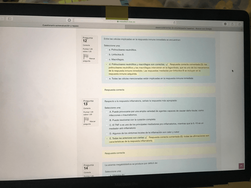 Miniatura del documento IMG3936.jpg