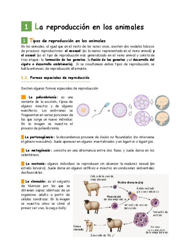 Miniatura del documento La-reproduccion-en-los-animales.pdf