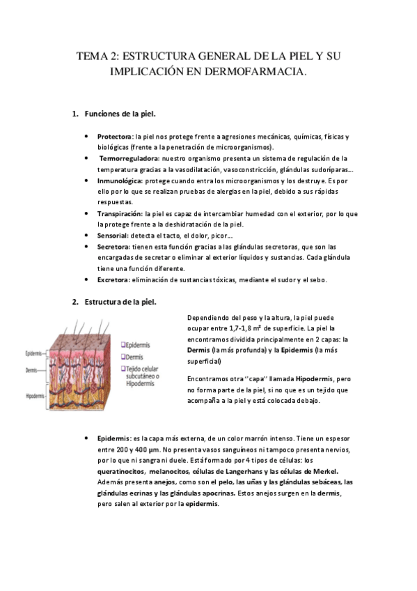 Miniatura del documento TEMA-2-ESTRUCTURA-GENERAL-DE-LA-PIEL.pdf