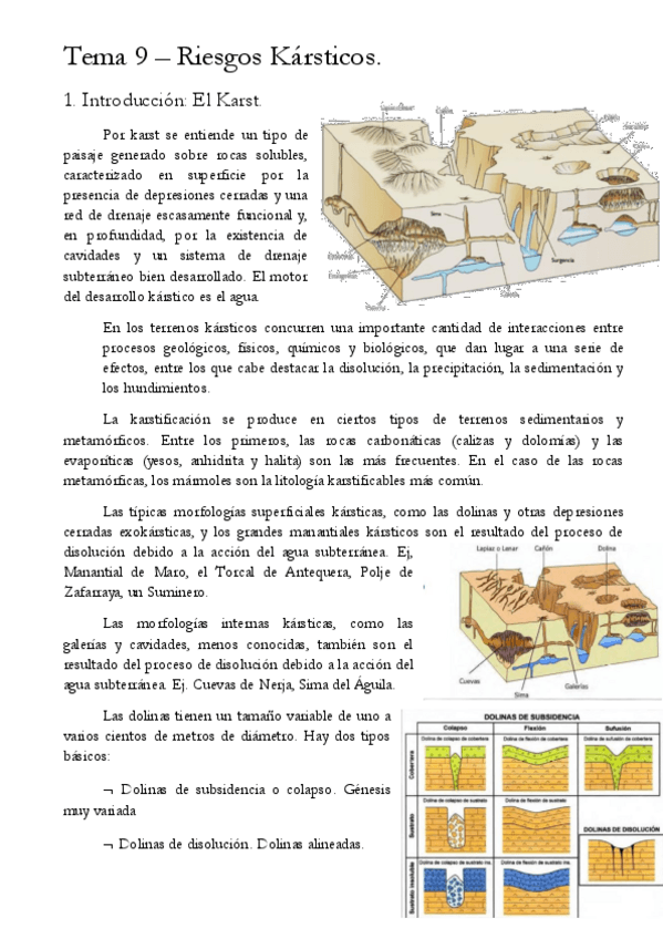 Miniatura del documento Tema-9-Riesgo-karstico.pdf