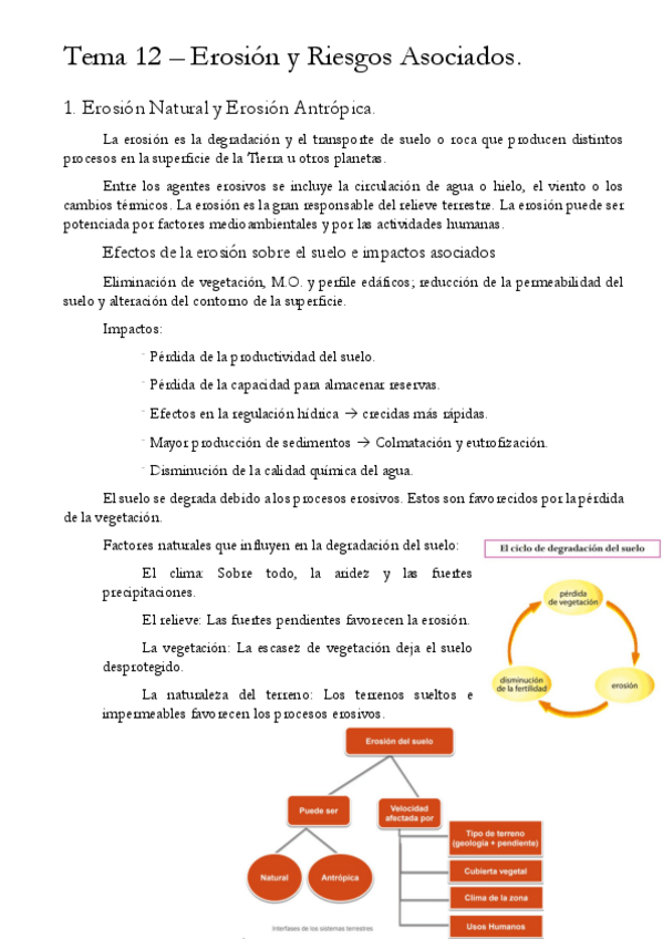 Miniatura del documento Tema-12-Ersion-y-Riesgos-Asociados.pdf
