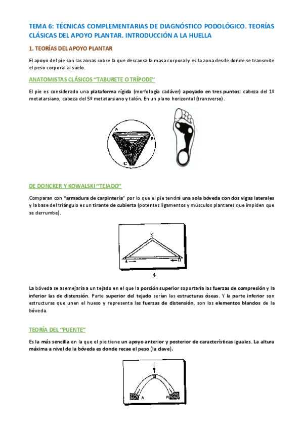 Miniatura del documento TEMA-PODOLOGIA-BASICA-Y-BIOMECANICA-42-54.pdf