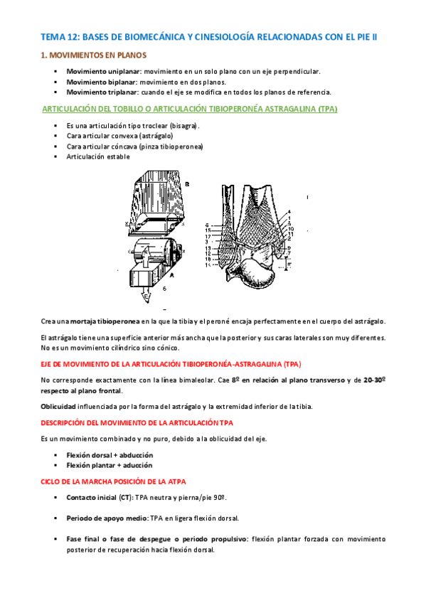 Miniatura del documento TEMA-PODOLOGIA-BASICA-Y-BIOMECANICA-103-112.pdf