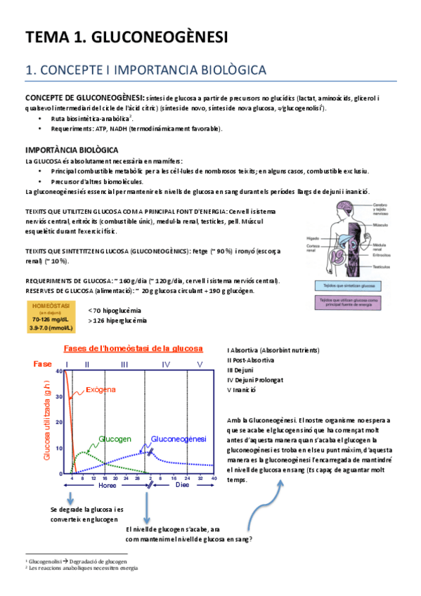 Miniatura del documento TEMA 1.pdf