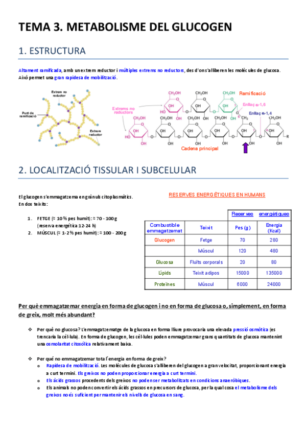 Miniatura del documento TEMA 3 (TEMA 2).pdf