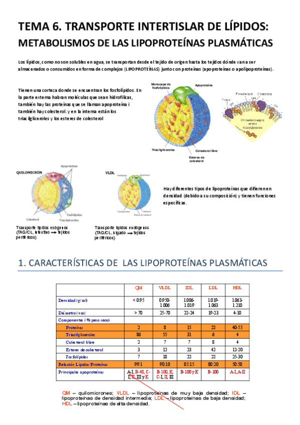 Miniatura del documento TEMA 6.pdf